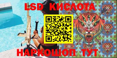 индика Камышлов