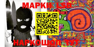 индика Камышлов
