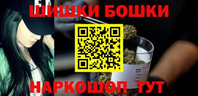 индика Камышлов