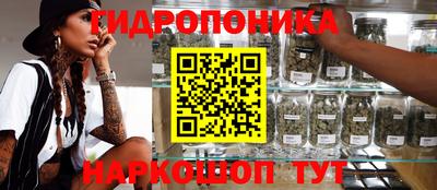jwh Канаш