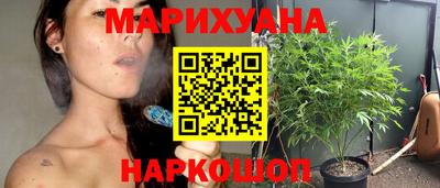 индика Камышлов
