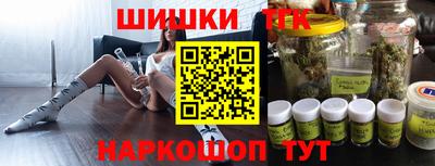 индика Камышлов