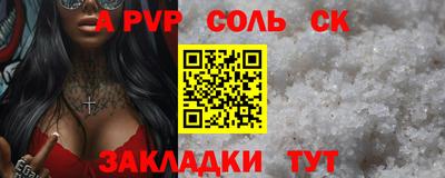 индика Камышлов